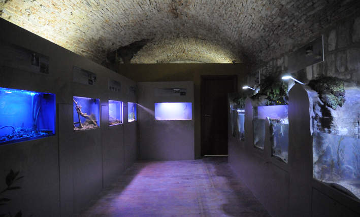 Acquario Bolsena